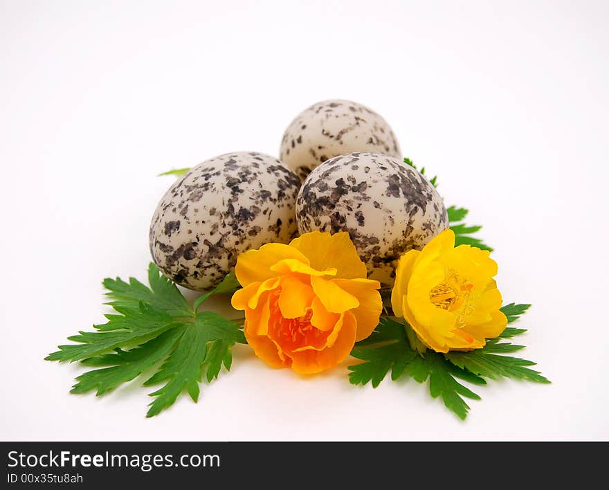 Easter eggs and flowers in still life