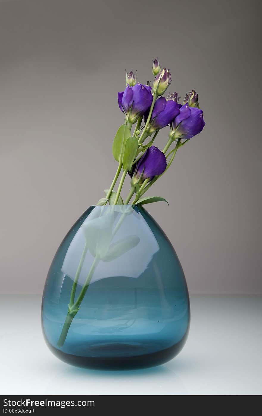 Pastel flowers in vase isolated.