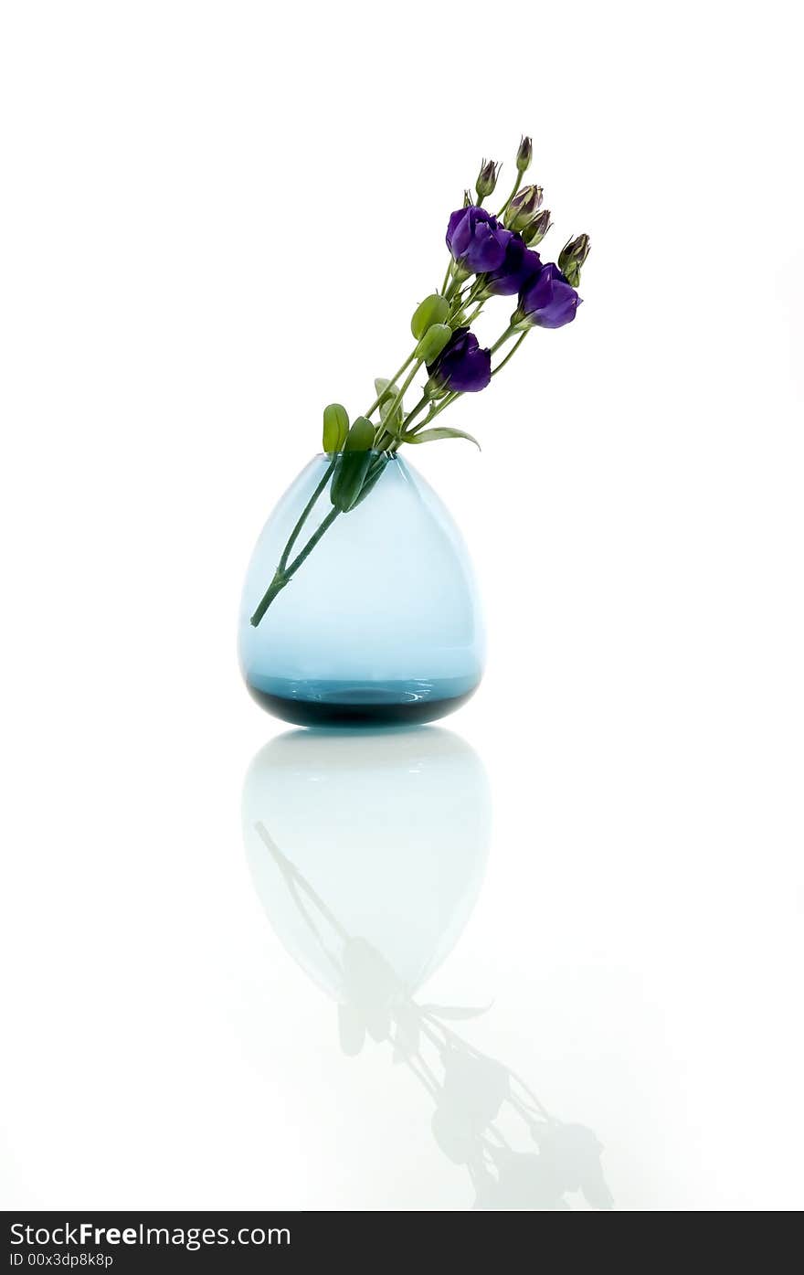 Pastel flowers in vase isolated