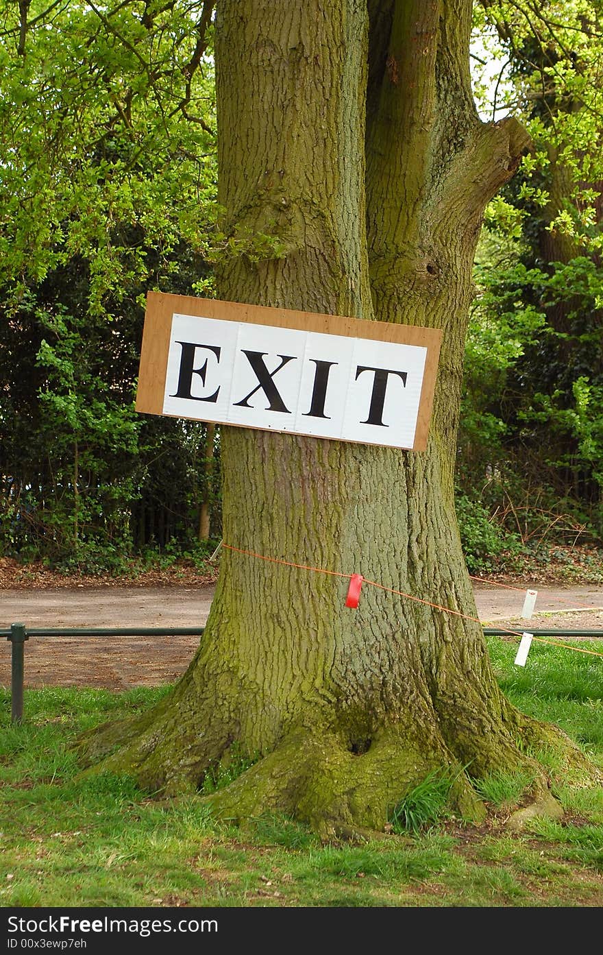 Exit sign nailed to a large oak tree