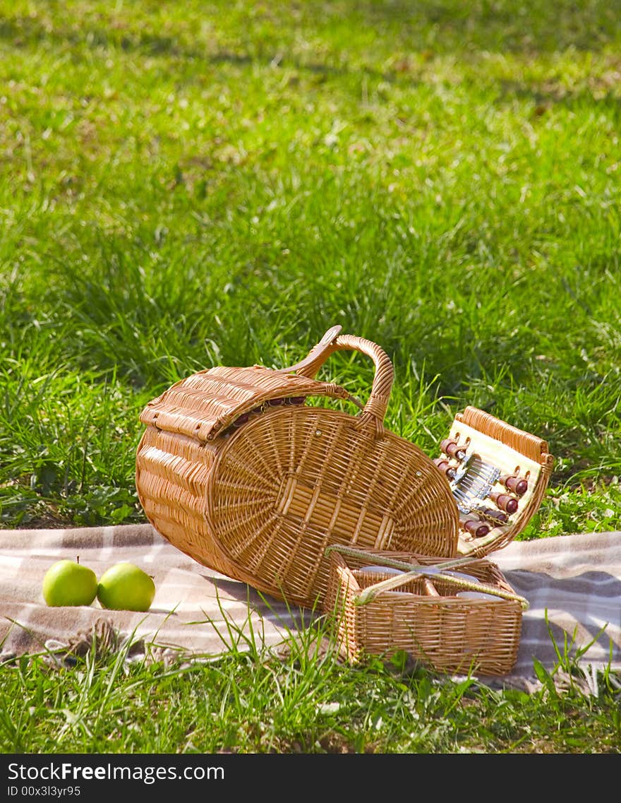 Basket for the picnic2