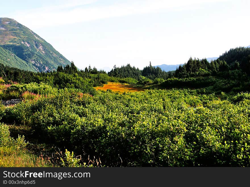 Mountain Plateau in Alaska near Anchorage