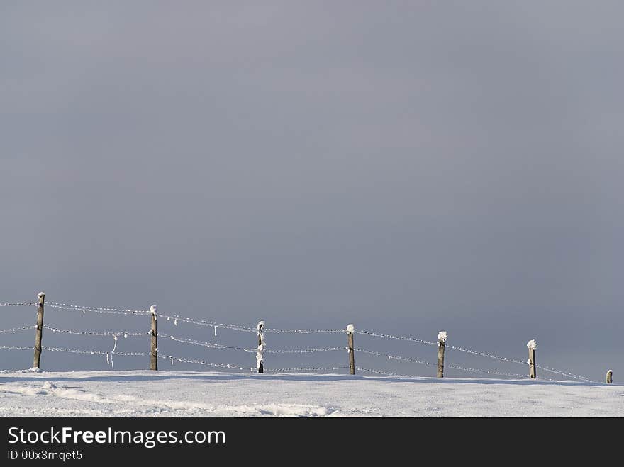 Winter Landscape