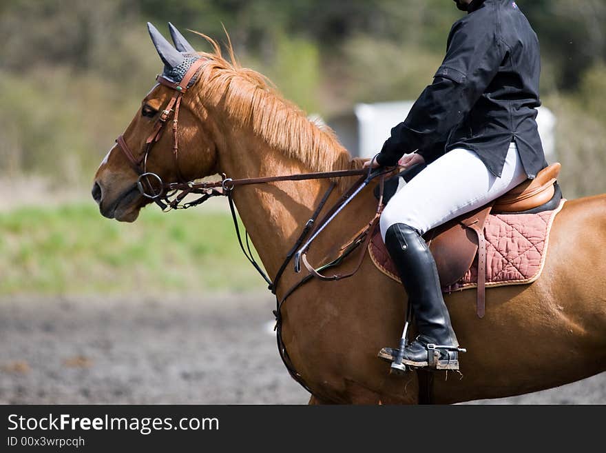 Woman on a horse at jumping event. Woman on a horse at jumping event