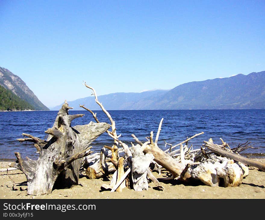 Mountain Altai