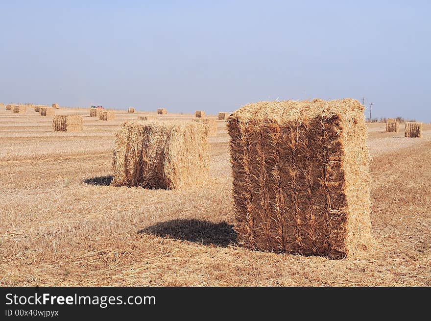 Harvest