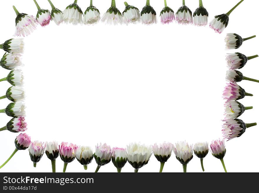 Floral frame with space for your text