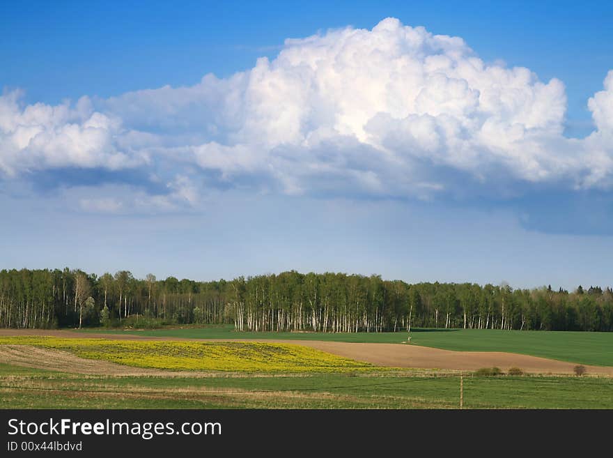 Country field view in Latvia