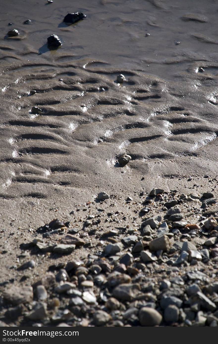 Wet sand on the beach