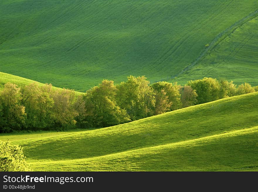 Green luxuriant sloping fields of wheat in the Tuscany region of Italy. This is in Val d'Orcia, a valley in the heart of Tuscany that is a UN World Heritage Site. Green luxuriant sloping fields of wheat in the Tuscany region of Italy. This is in Val d'Orcia, a valley in the heart of Tuscany that is a UN World Heritage Site.