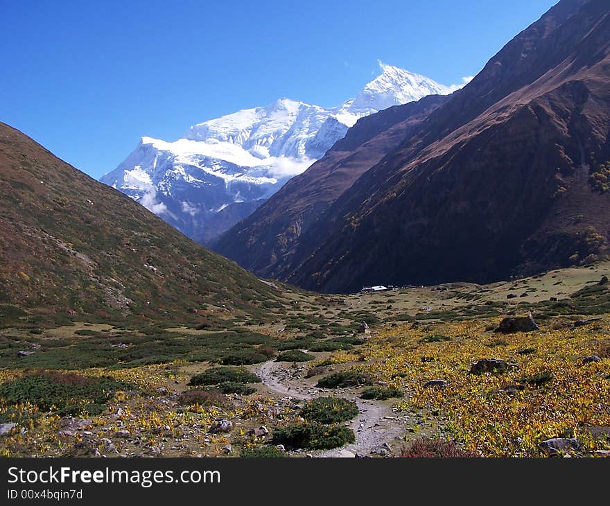 This is on the Annapurna Circuit. After hiking for hours, I turned around and saw the mountains peeking from behind the hills.  The contrast of the ice vs. the flora was amazing. This is on the Annapurna Circuit. After hiking for hours, I turned around and saw the mountains peeking from behind the hills.  The contrast of the ice vs. the flora was amazing.