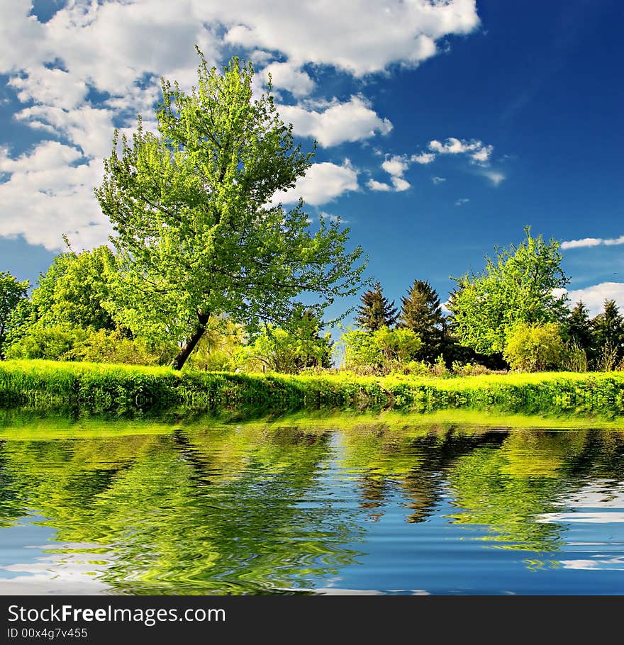 Summer landscape. Green trees on blue sky background