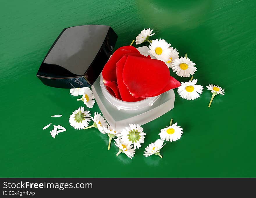 Opened creme box with rose and daisy petals over green. Opened creme box with rose and daisy petals over green