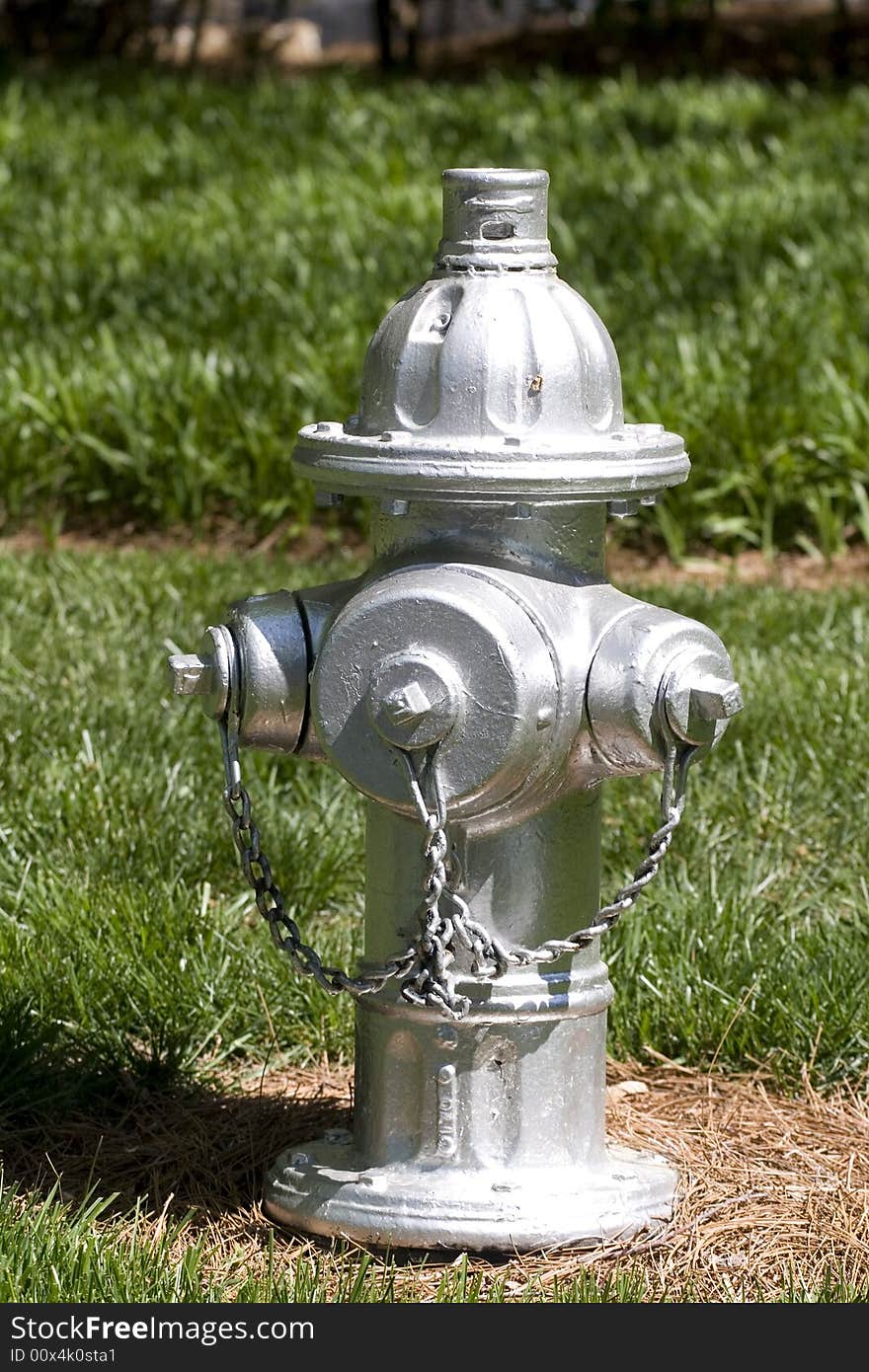 Silver Hydrant