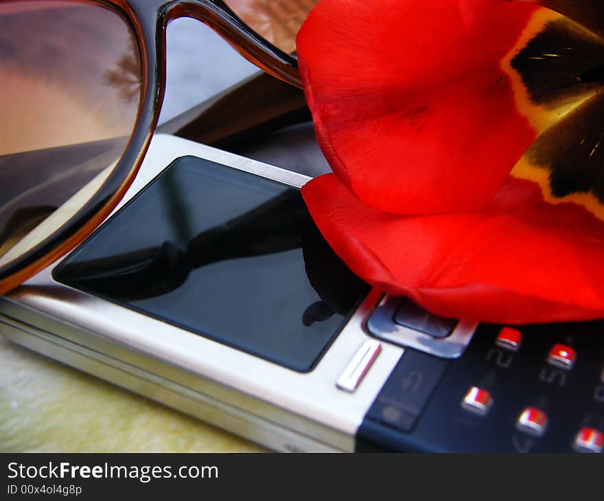 Tinted glasses, mobile phone and a flower as a composition. Tinted glasses, mobile phone and a flower as a composition.