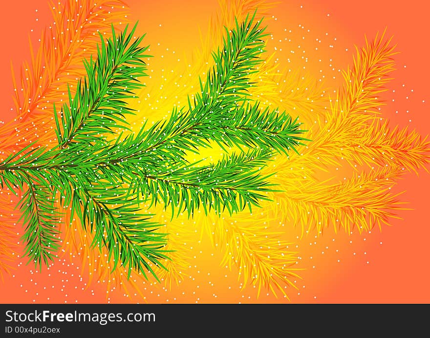 Christmas tree branch