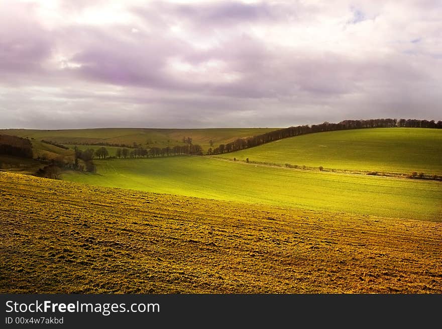 Fields Of Light