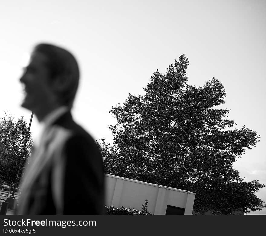 Shadow of businessman wearing suit standing in front of large tree