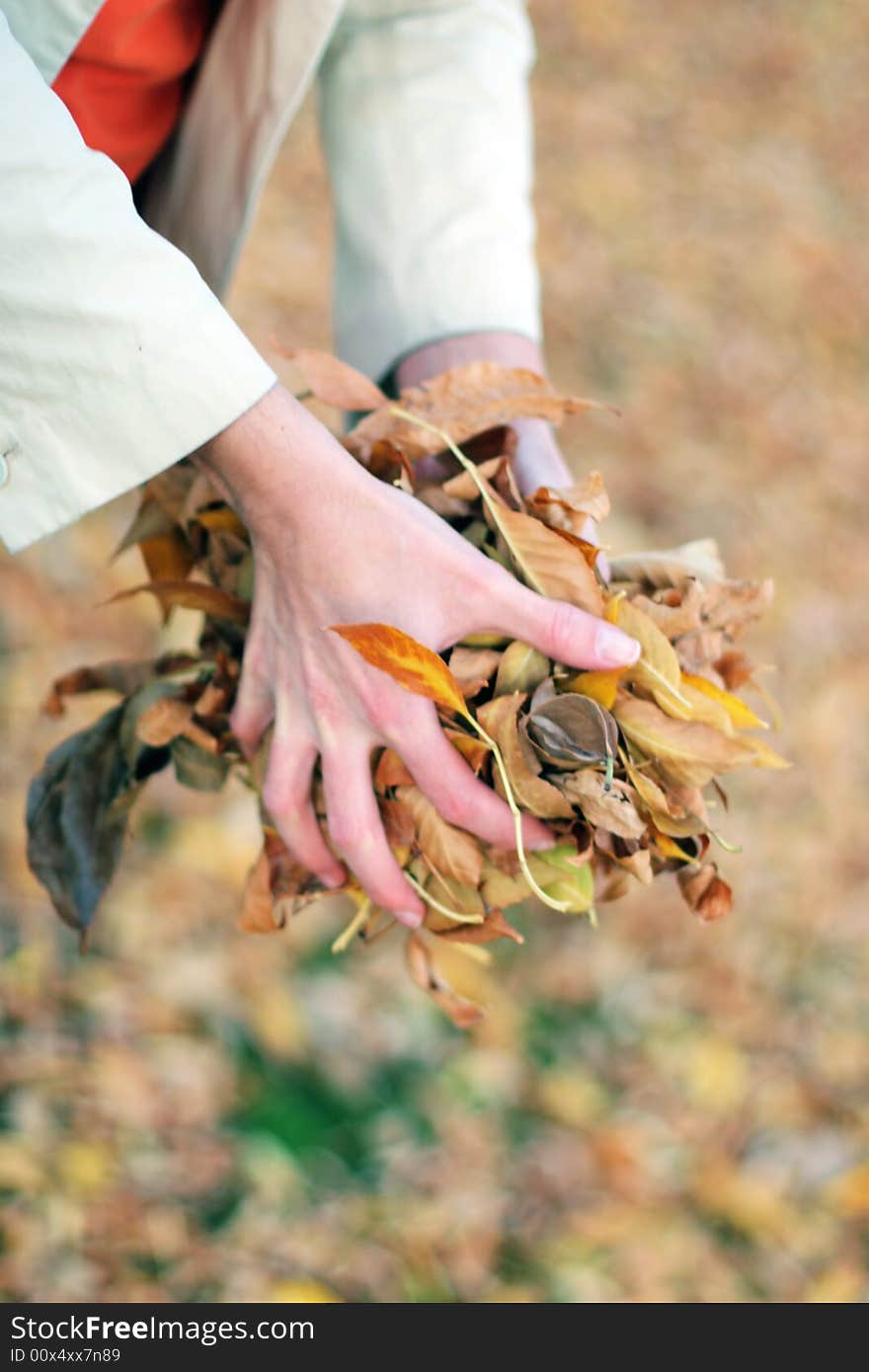 Woman Holding Leaves