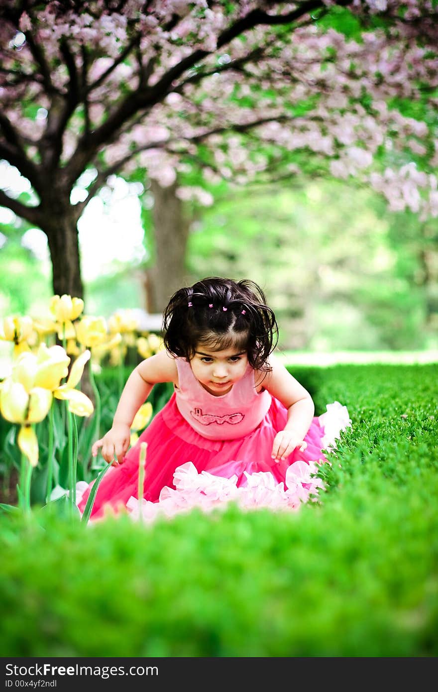 Cute girl in a flower garden wearing a cute pettiskirt. Cute girl in a flower garden wearing a cute pettiskirt