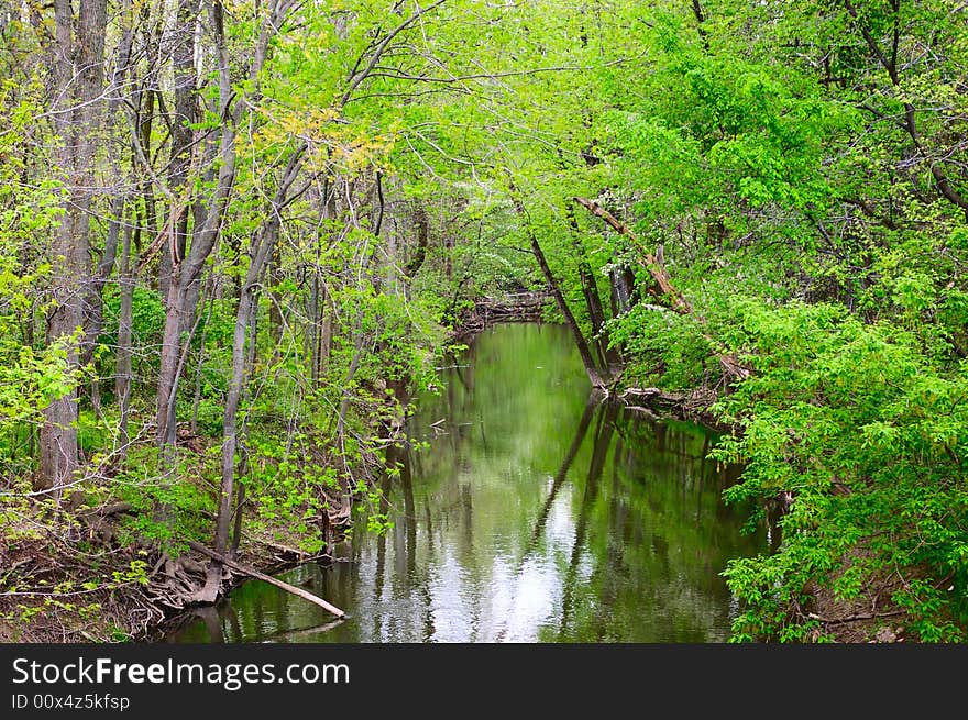 A peaceful stream in the midst of a beautiful green forest. A peaceful stream in the midst of a beautiful green forest.