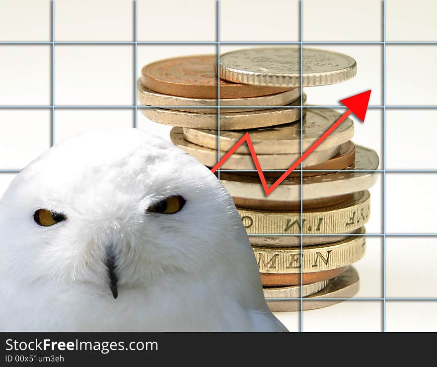 Owl overlaid onto UK coins and graph. Owl overlaid onto UK coins and graph