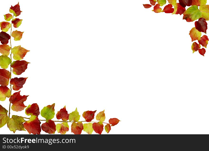 Autumn frame with red  leaves on white