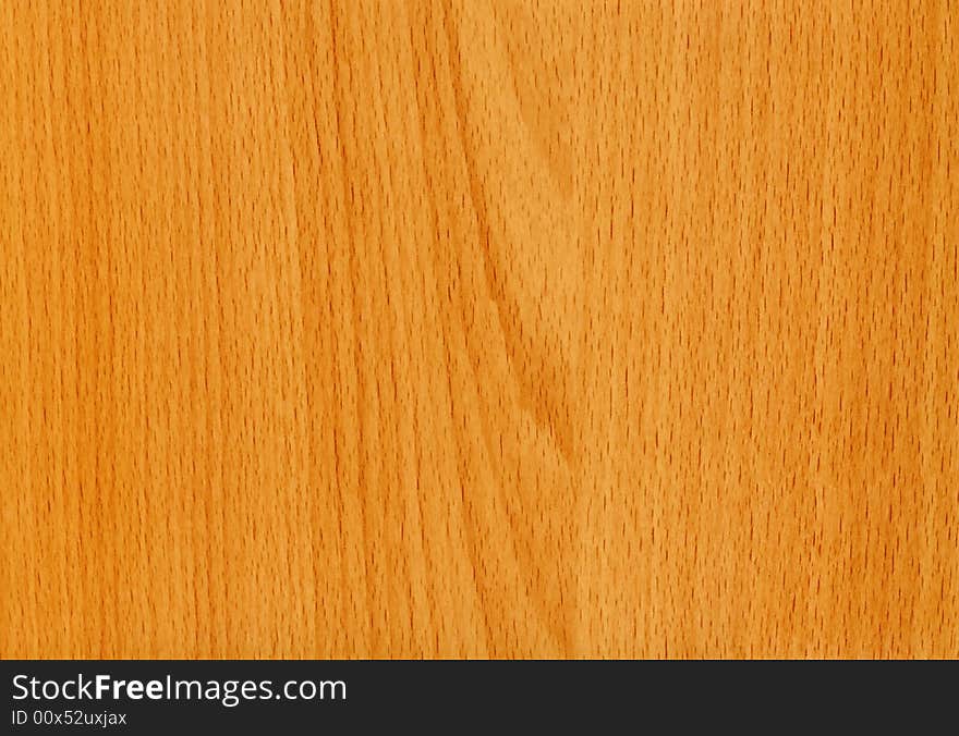 Close-up Wooden Beech Maintal Texture