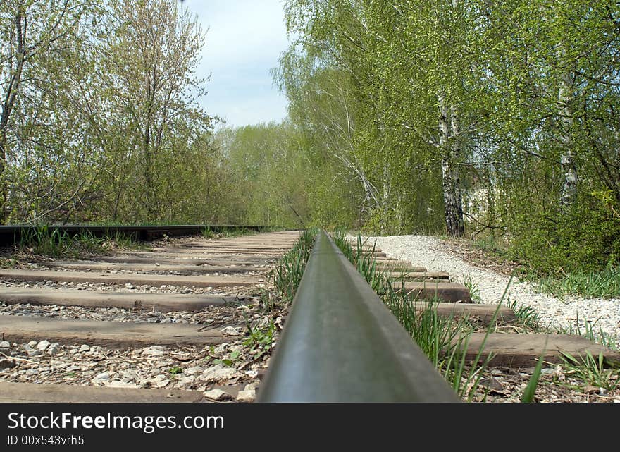 The railway in a wood. A rail leaving in infinity