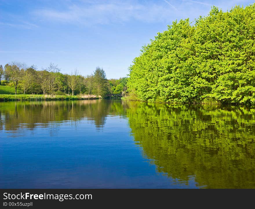 Beautiful river, view from the water. Forest along  the bank.