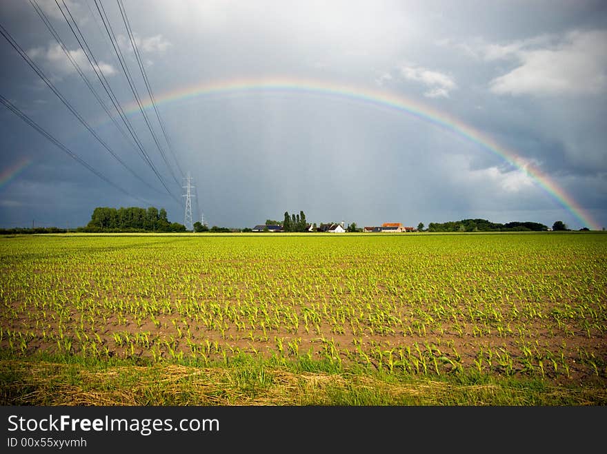 Power Supply Cables Entering A Rainbow