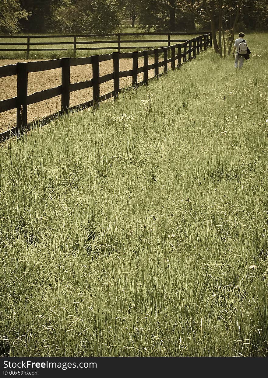 Man Walking Through A Field