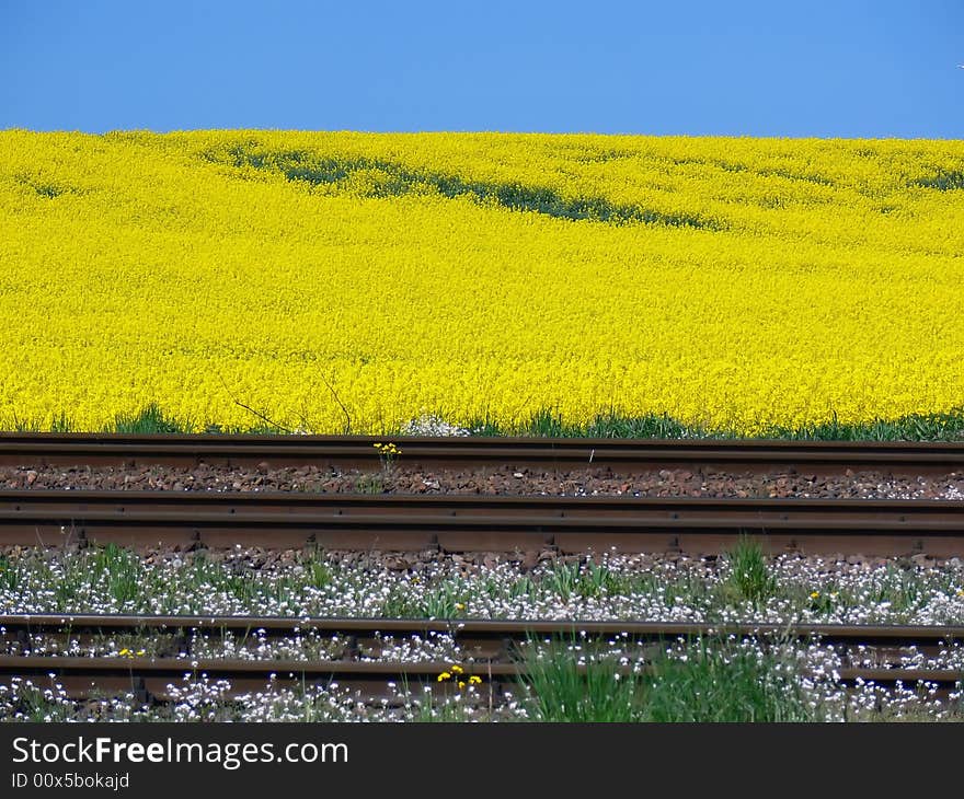 Yellow Raillway