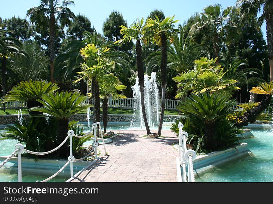 There are some palm-trees on a small artificial lake. There are some palm-trees on a small artificial lake.