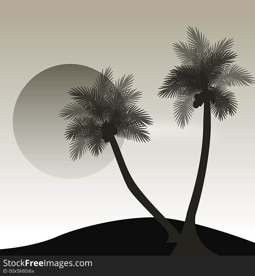 Two palm trees in an island