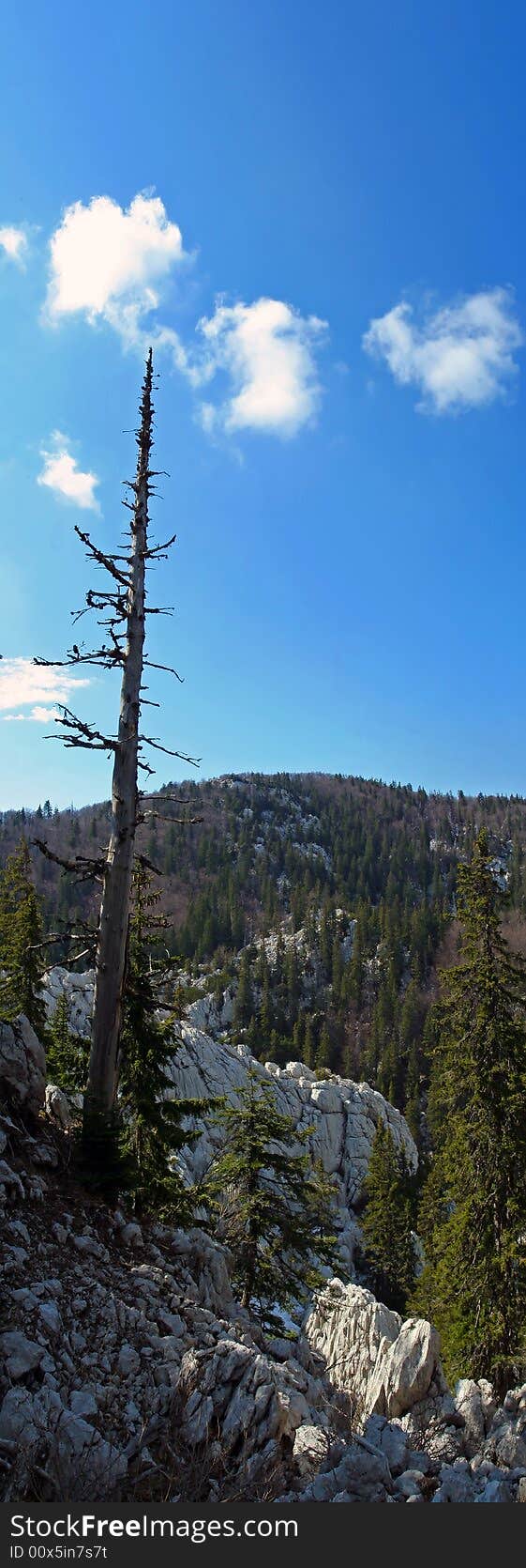 Mountain scene during spring day, Velebit, Croatia