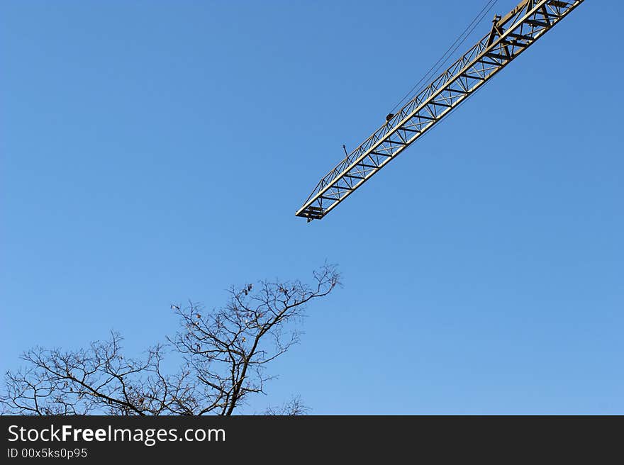 Crane and tree in the  blue sky. Crane and tree in the  blue sky