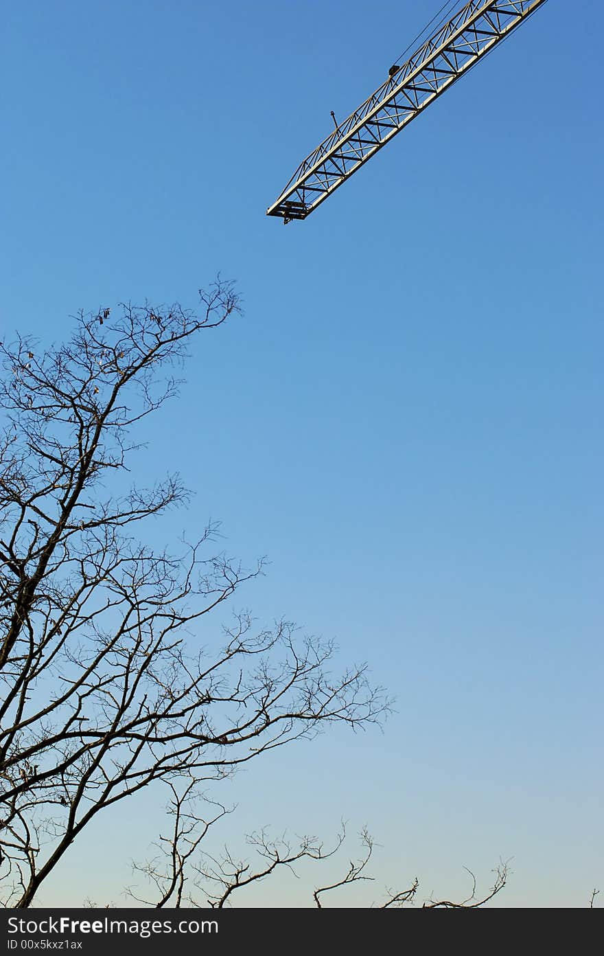 Crane and tree in the  blue sky. Crane and tree in the  blue sky