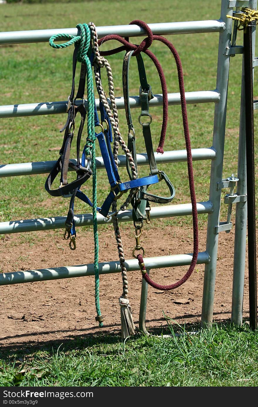 Some Horse bidels and ropes on a fence