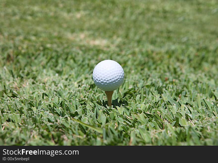 Golf and dimple in the grass