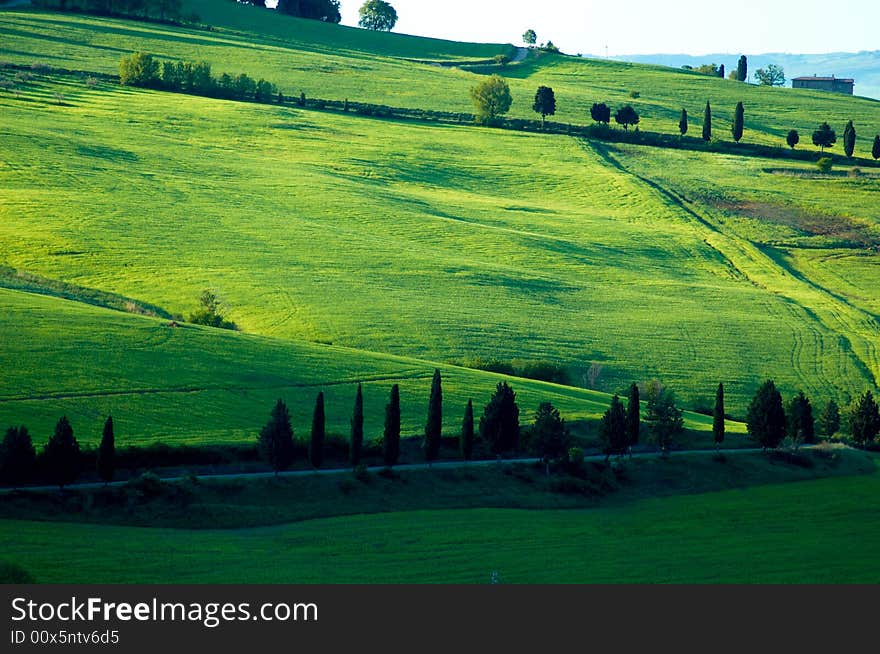 Rural countryside landscape in Tuscany, taly. Rural countryside landscape in Tuscany, taly.