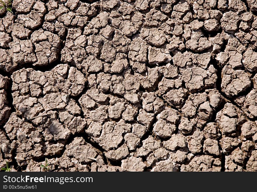 Small plant growing in a drought desert. Small plant growing in a drought desert.