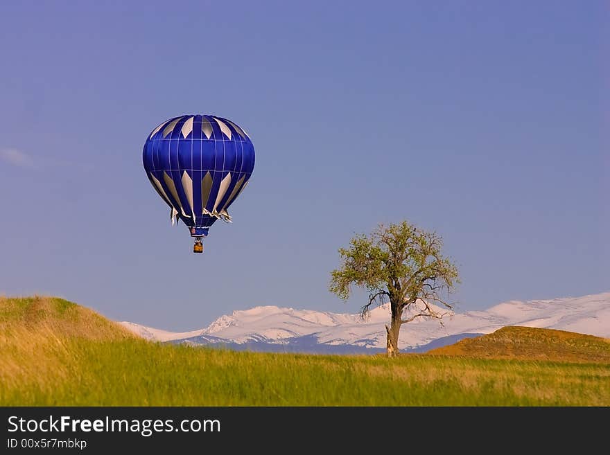 A blue Hot Air Balloon floats past a tree with snowy mountains in the distance. A blue Hot Air Balloon floats past a tree with snowy mountains in the distance