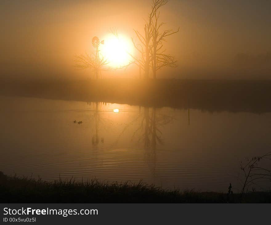 It was a cold foggy morning until the sunrose as normal in australia in summer the heat quickly made the fog rise. It was a cold foggy morning until the sunrose as normal in australia in summer the heat quickly made the fog rise.