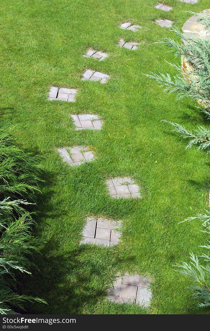 Garden stone path with grass growing up between the stones