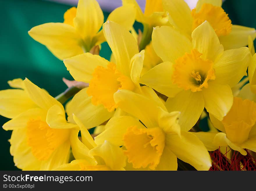 Beautiful yellow flowers holiday background. Beautiful yellow flowers holiday background