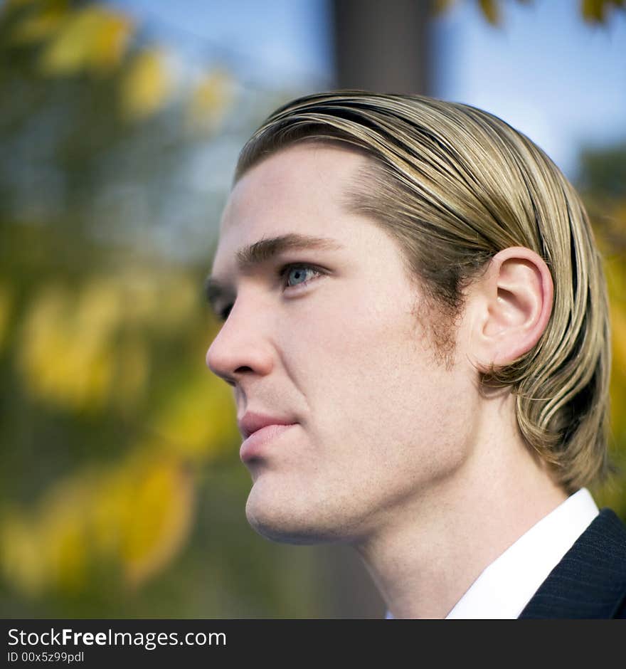 Profile view of handsome blond hair blue eye businessman wearing suit and tie