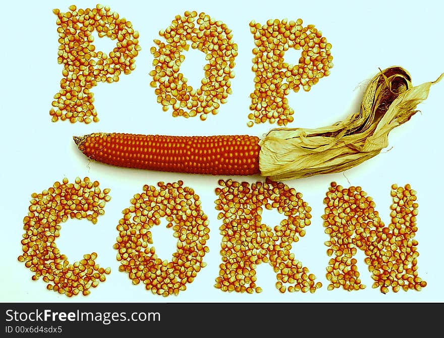 Corns of maize on a white background