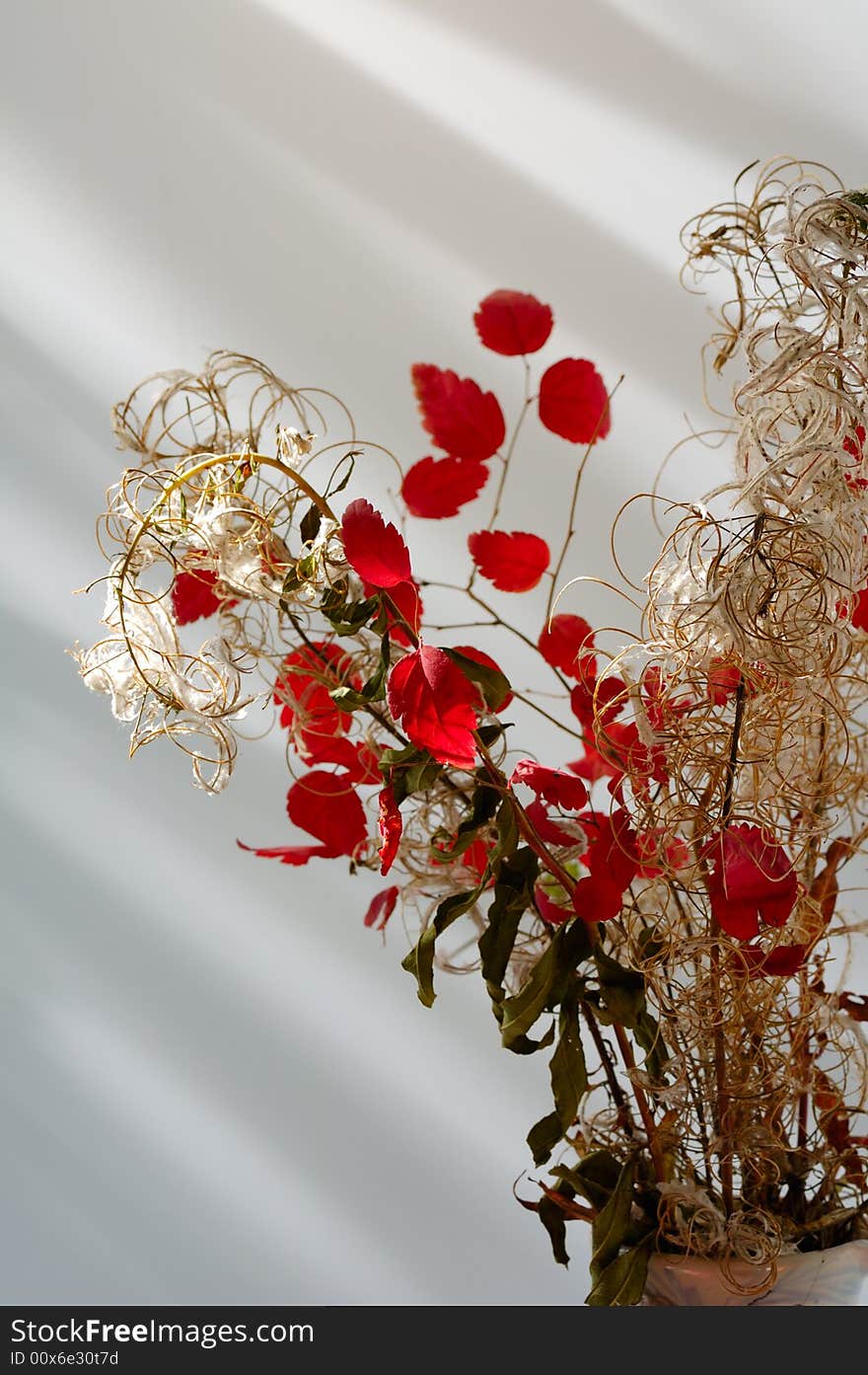 Autumn still life with red leaves