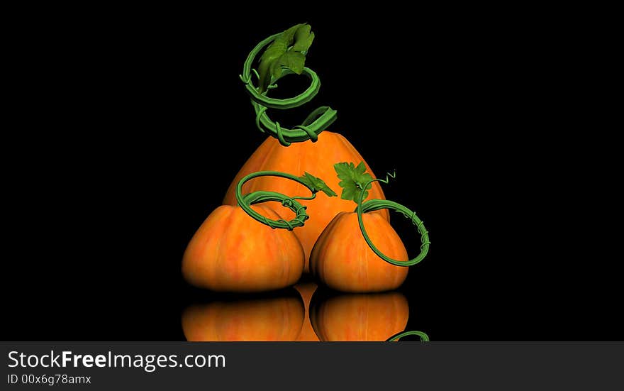 Pumkin patch